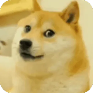 😊 eb556205 Doge 개, 밈, 웃긴, 동물, 도지 telegram sticker