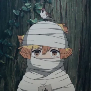 😶 683fc4ef Zenitsu Agatsuma Demon Slayer anime, manga, Zenitsu Agatsuma, Demon Slayer, character, bandaged, bird telegram sticker