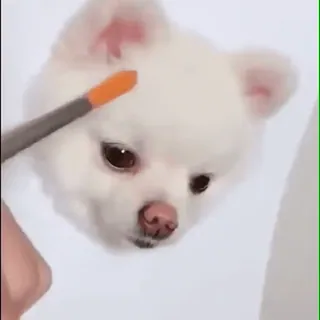 🐾 019bd183 cane, animale, pennello, pittura, carino, animale domestico whatsapp sticker