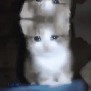 🥲 fff89c6e Katze, Stapel, niedlich, Tier, Kätzchen telegram sticker