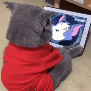 Animals 2 @cutemonsta whatsapp stickers