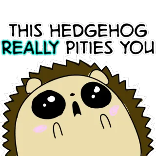 😢 2baf301a THIS HEDGEHOG REALLY PITIES YOU ハリネズミ, かわいい, かわいそう, 動物, 漫画 telegram sticker