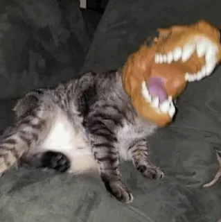 🧈 d47d6703 gato, dinossauro, animal, animal de estimação, máscara, engraçado, fantasia telegram sticker