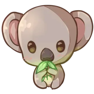 🐨 af62e5d1 коала, милый, животное, листья, австралия, сумчатый, дикая природа telegram sticker