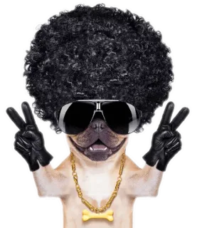 ANIMALOL telegram stickers