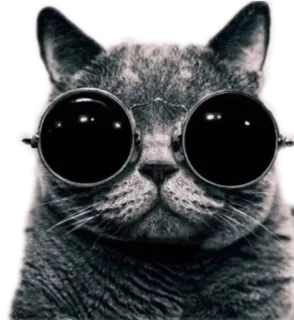 ANIMALOL telegram stickers