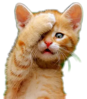 ANIMALOL telegram stickers