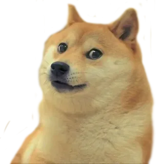 🐶 3b87c24a Doge 总督, 狗, 表情包, 柴犬, 动物 telegram sticker
