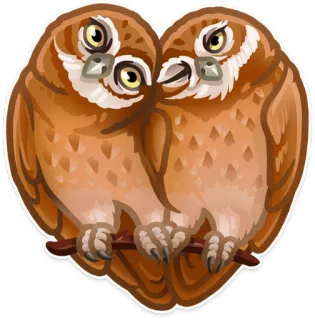 🐦 4ee69f48 hiboux, coeur, amour, oiseaux, mignon telegram sticker