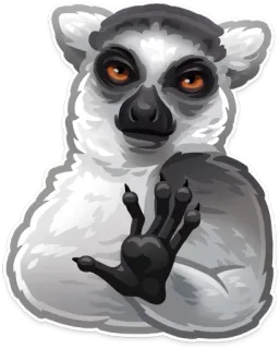 ✋ 5153af46 lémurien, animal, primate, faune sauvage, autocollant, mignon, drôle, dessin animé telegram sticker