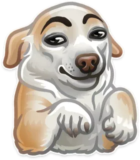🐶 66ebfb0a chien, drôle, mème, animal, mignon, animal de compagnie, expression telegram sticker