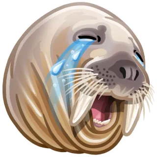 🦭 75002d55 morse, pleurer, triste, emoji, animal, mammifère, larmes telegram sticker