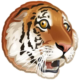 🐯 86302c00 tigre, animal, faune, chat, félin, safari, zoo telegram sticker