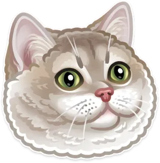 🐱 8de1c354 chat, animal de compagnie, animal, chaton, mignon, visage, mammifère, domestique telegram sticker