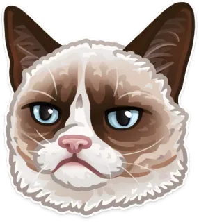 🐱 da06fdc4 Grumpy Cat chat, grincheux, mème, animal, animal de compagnie telegram sticker