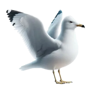 Neiro Animals @a_lot_of_facts telegram stickers