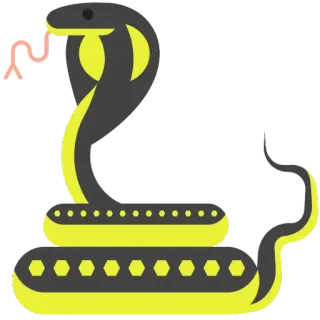 Animals @stickersb2b telegram stickers