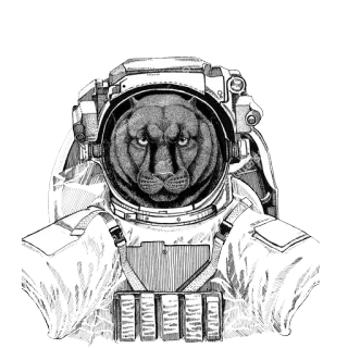 Animals in Space  @stickersb2b telegram stickers