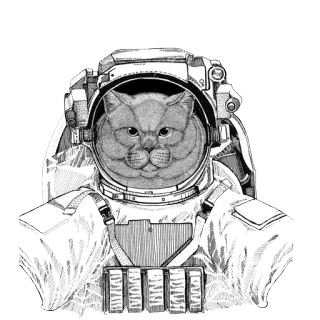 🌌 4567bd4c 猫, 宇航员, 太空, 动物, 搞笑, 头盔, 宠物 telegram sticker