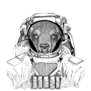 Animals in Space  @stickersb2b whatsapp stickers