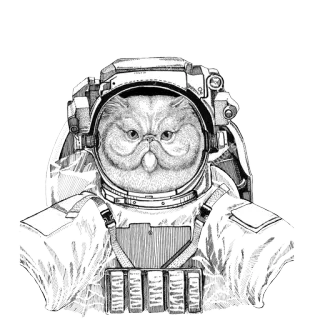 🌌 54b00987 猫, 宇航员, 太空, 动物, 太空服, 插画 telegram sticker