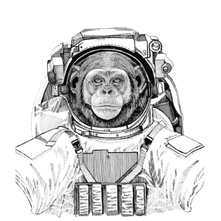 🌌 686e0cfe 宇航员, 猴子, 黑猩猩, 太空, 动物, 宇航服 telegram sticker