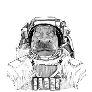 Animals in Space  @stickersb2b whatsapp stickers