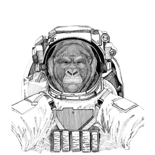 🌌 a804731a 大猩猩, 猿, 宇航员, 宇航服, 动物, 太空探索, 科幻 telegram sticker