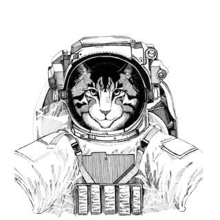 Animals in Space  @stickersb2b whatsapp stickers