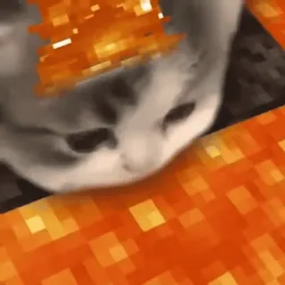 🔥 6eb7c31c Minecraft Katze, Lava, Minecraft, Meme, Videospiel telegram sticker