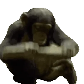 🐒 350daacf monyet, kera, simpanse, binatang whatsapp sticker