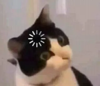 🤨 2f0c0b6e cat, loading, thinking, meme, funny, animal telegram sticker