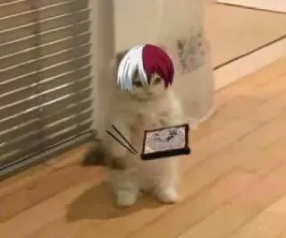 Anime Cat! by @sollevatricedipolemiche telegram stickers