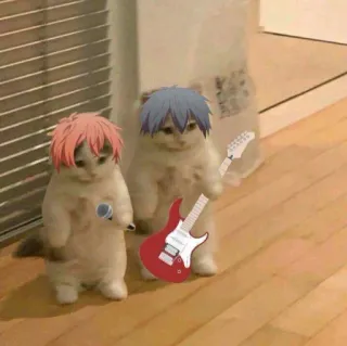 🎸 1a138b1a kucing, anime, musik, gitar, mikrofon, band, lucu, imut whatsapp sticker