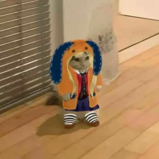 🎃 2fe378e7 kucing, cosplay, anime, hewan peliharaan, lucu, binatang, imut whatsapp sticker