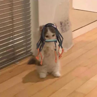 🎋 7e684a75 Nezuko Kamado Demon Slayer kucing, Demon Slayer, Nezuko, anime, imut, manga whatsapp sticker