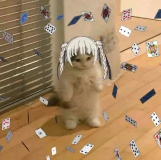 🃏 8ed6c631 kucing, hewan, meme, lucu, kartu remi whatsapp sticker