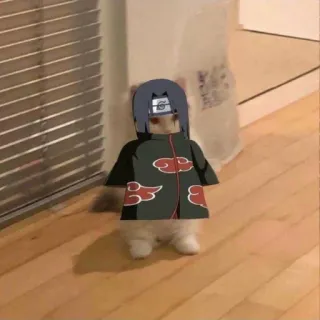 ☁️ 9efecd91 Itachi Uchiha Naruto kucing, Itachi, Naruto, anime, manga, lucu, meme whatsapp sticker