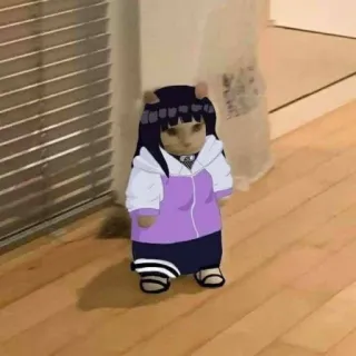 😈 ec6c77cd Hinata Hyuga Naruto kucing, anime, cosplay, Hinata Hyuga, Naruto, imut whatsapp sticker