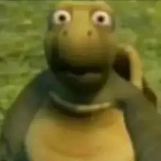 😳 306ea237 kura-kura, binatang, reptil, kartun, lucu, meme telegram sticker