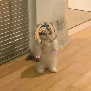 🐈 13e74d54 кот, котенок, аниме, смешные, милые, мем telegram sticker