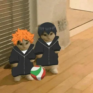 🐈 1405e64f Hinata Shoyo Haikyuu кот, Волейбол!!, аниме, Хината, Кагеяма, волейбол telegram sticker