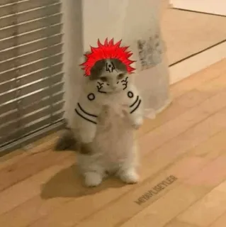 Standing Cat Anime @Icarusfalls whatsapp stickers