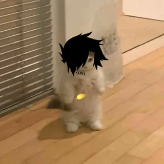 🐈 2786223a кот, аниме, мем, смешной, милый, питомец, каваи, причудливый telegram sticker