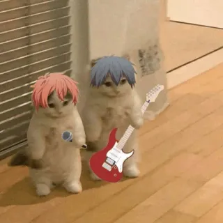 🐈 2eb46ab3 кот, коты, котенок, котята, музыка, группа, гитара, микрофон telegram sticker