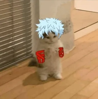 🐈 3f7774b9 кот, котенок, аниме, мем, смешной, бокс telegram sticker