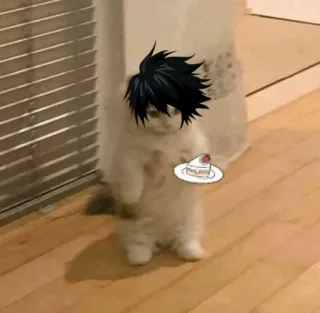🐈 48e0a945 L Lawliet Death Note кот, L Lawliet, Death Note, аниме, манга, торт, милый telegram sticker