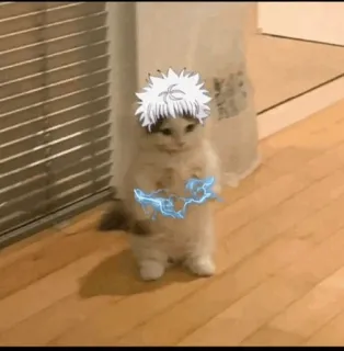 🐈 4d2301fe Killua Zoldyck Hunter x Hunter кот, Киллуа, Hunter x Hunter, аниме, электричество, мультфильм telegram sticker