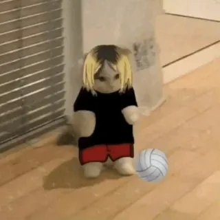 🐈 527879fe Kozume Kenma Haikyuu!! аниме, кот, волейбол, haikyuu, кенма, спорт telegram sticker
