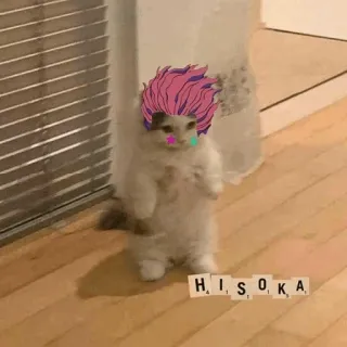 🐈 5281d0b5 Hisoka кот, Хисока, аниме, розовые волосы, плитки scrabble, смешной telegram sticker